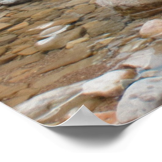 Brown Bear in Stream ポスター (角)