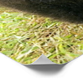 Brown_Bear_Kodiak_Cub_NWR ポスター (角)