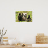 Brown_Bear_Kodiak_Cub_NWR ポスター (キッチン)