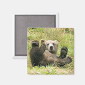 Brown_Bear_Kodiak_Loversギフト マグネット (正面/裏面)