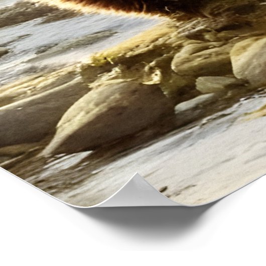 Brown Bear Wildlife Portrait  ポスター (角)