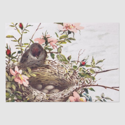 Brown BirdとNest Decopageセットバラ1/4 薄葉紙 (正面)