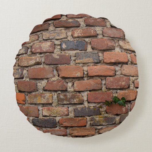 Brown brick wall ラウンドクッション (正面)