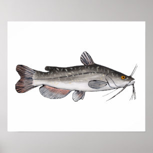 Brown Bullhead ポスター