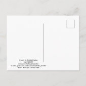 Brown Butterflies ポストカード (裏面)