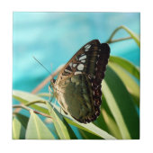 Brown Butterfly Closed Wings タイル (正面)