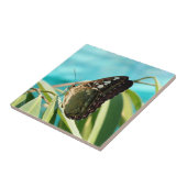 Brown Butterfly Closed Wings タイル (側面)