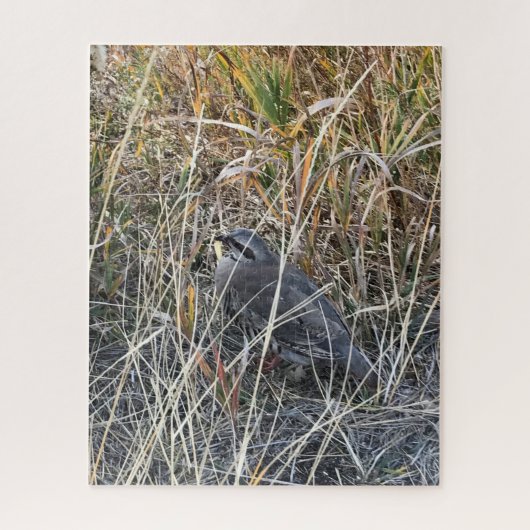 Brown Chukar Partridge almost hidden ジグソーパズル (縦)