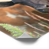 Brown Cow Sticking Tongue Out Funny Humorous Cute ポスター (角)