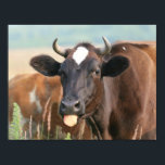 Brown Cow Sticking Tongue Out Funny Humorous Cute ポスター<br><div class="desc">Down in the dumps? Pin this poster up for a pick me up! Features a cute brown cow sticking her tongue out.</div>