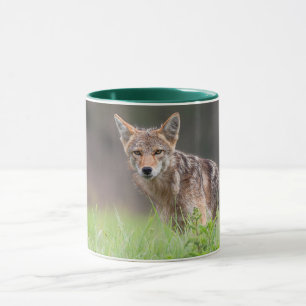Brown Coyote、カナダ動物写真 マグカップ