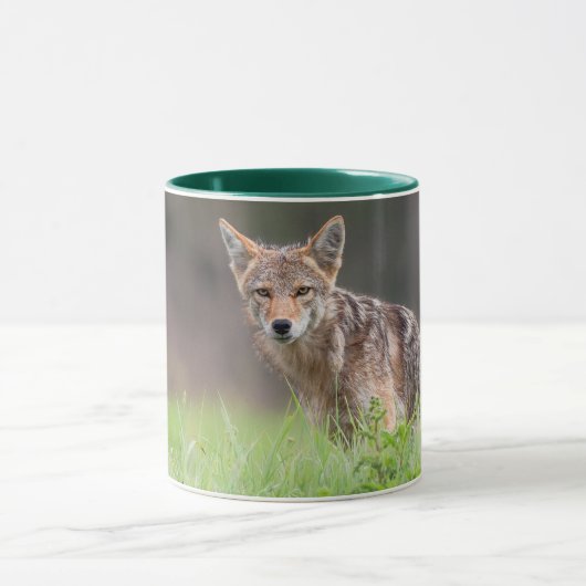 Brown Coyote、カナダ動物写真 マグカップ (中央)