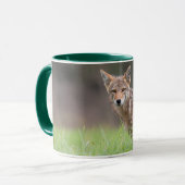Brown Coyote、カナダ動物写真 マグカップ (正面左)