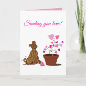 Brown dog heart plant カード (正面)