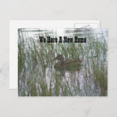 Brown Duck New Address自然はがき 案内ポストカード (正面/裏面)