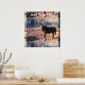 Brown Farm Horse Raleigh County ポスター (キッチン)