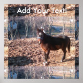 Brown Farm Horse Raleigh County ポスター (正面)