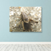 Brown Field Cricketキャンバス印刷 キャンバスプリント (インサイチュ (ウッドフロア))