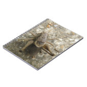 Brown Field Cricketノートブック ノートブック (左側)