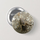 Brown Field Cricketボタン 缶バッジ (正面&裏面)