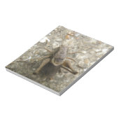 Brown Field Cricketメモ帳 ノートパッド (回転)