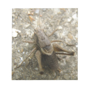Brown Field Cricketメモ帳 ノートパッド