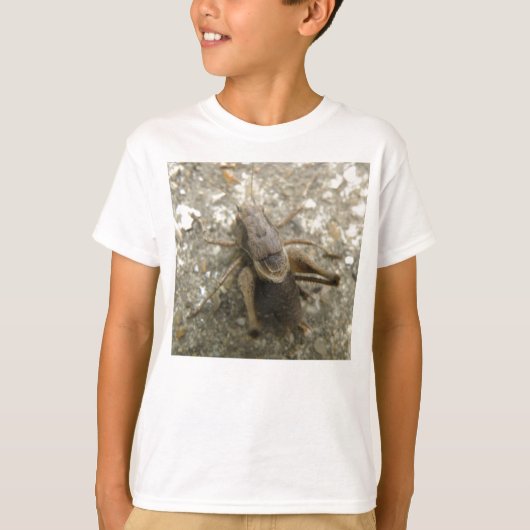 Brown Field Cricket Kids Tシャツ (正面)