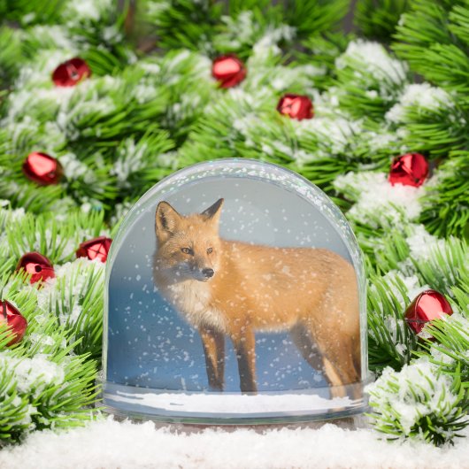 Brown Fox (クリスマス)