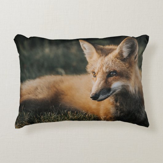 BROWN FOX ON GROUND アクセントクッション (正面)
