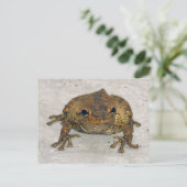 Brown Frogフォトポストカード ポストカード (スタンド正面)