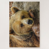 Brown grizzly bear photo ジグソーパズル (縦)