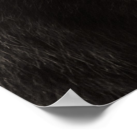 Brown Grizzly Bear Wildlife写真 ポスター (角)