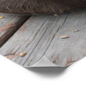 Brown Guinea Pigポスター ポスター (角)