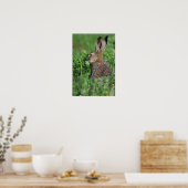 Brown Hare, Lepus europaeus, young eating, ポスター (キッチン)