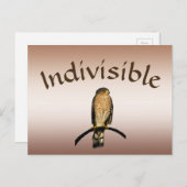 Brown Hawk不可分葉書 ポストカード (正面/裏面)