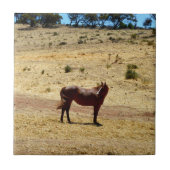 Brown_Horse_Country,_ タイル (正面)