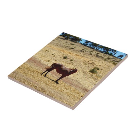 Brown_Horse_Country,_ タイル (側面)