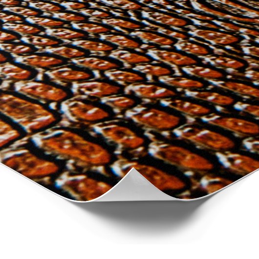 Brown leather textureleather,abstract,antique, ,ba ポスター (角)