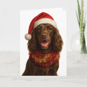 Brown / Liver Cocker Spaniel Happy Christmas card カード (正面)