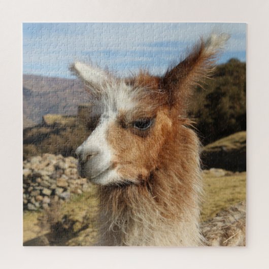 Brown Llamaクローズアップ顔プロフィール – Cusco Peru ジグソーパズル (縦)