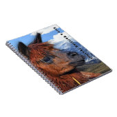 Brown Llama Andes Mountains Personalized ノートブック (右側)