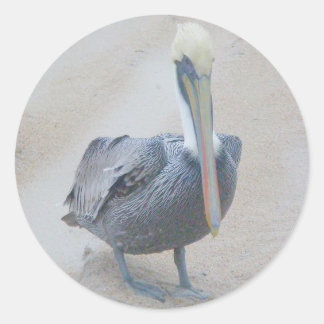 Brown Pelican #2スタンプ ラウンドシール