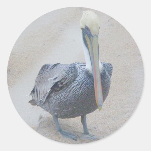 Brown Pelican #2スタンプ ラウンドシール (正面)