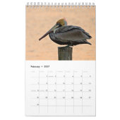 Brown Pelican 2025カレンダー カレンダー (2月 2027)