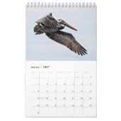 Brown Pelican 2025カレンダー カレンダー (1月 2027)