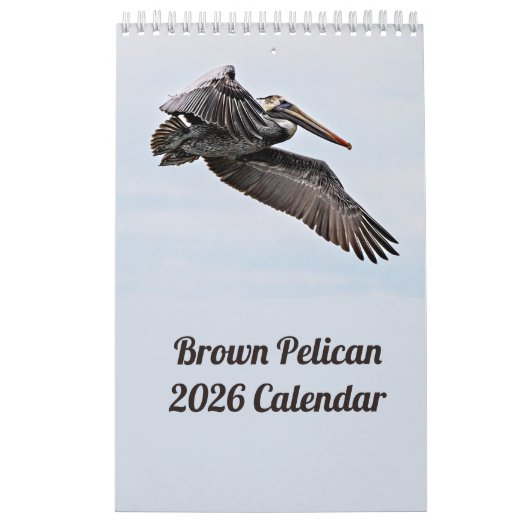 Brown Pelican 2025カレンダー カレンダー (カバー)