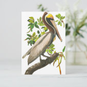Brown Pelican by John James Audubon サンキューカード (スタンド正面)