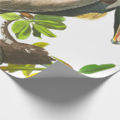 Brown Pelican by John James Audubon ラッピングペーパー (角)