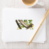 Brown Pelican by John James Audubon ラベル (インサイチュ)