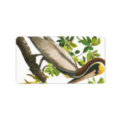 Brown Pelican by John James Audubon ラベル (正面)